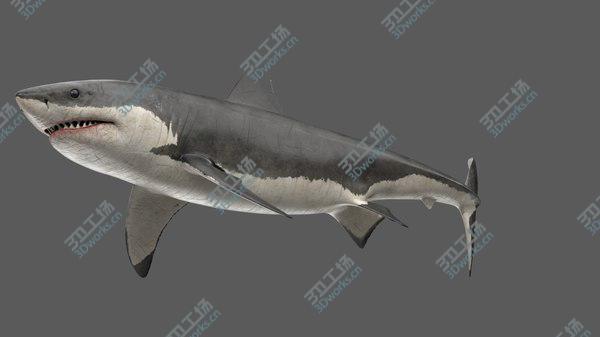 images/goods_img/20210312/3D Great White Shark Animated/4.jpg